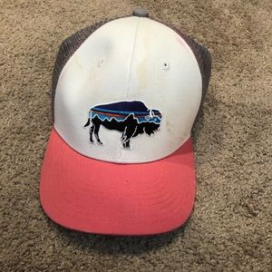 Patagonia baseball hat
